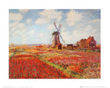 Tulip Fields with the Rijnsburg Windmill Affiches par Claude Monet