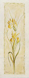Garden Delight Iris Prints by Julia Bonet