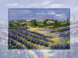 Luscious Lavender Posters by Katharina Schottler