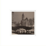 Central Park, New York City Matted Print