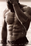 Male Torso Posters