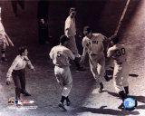 Ted Williams - Homeplate (sepia) Foto