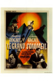 The Big Sleep Poster