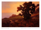 Golden Light at Sunset Prints by Brian Blood Golden Light at Sunset Prints by Brian Blood
