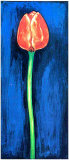 Triptyque de tulipes rouges I Affiches par D. Ferrer