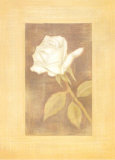 Gorgeous Rose II Print by Lewman Zaid