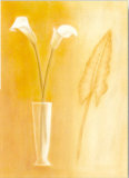 Classy Callas I Prints by Lewman Zaid Classy Callas I Prints by Lewman Zaid