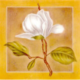 Charm II Prints by Lewman Zaid