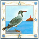 White-Eyed Gull Prints by Urpina 