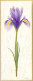 Orchid I Prints by Urpina 