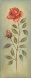 Rose in Green III Posters par Lewman Zaid