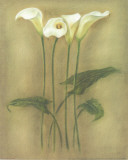 Triptyque d'iris II Affiches par Lewman Zaid