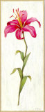 Orchid II Posters by Urpina 