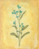 Country Flowers I Prints by Al Safir