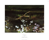 Wishbone Prints by Andrew Wyeth