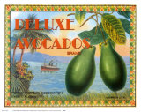 Deluxe Avacados Poster by Miles Graff