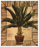 Potted Palm I Plakater av Alex Brewer