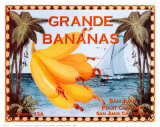 Grande Bananas Prints by Miles Graff