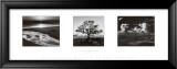 Trilogie Poster von Ansel Adams