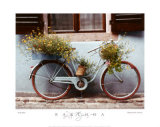 Blue Bike Art by Dennis Barloga