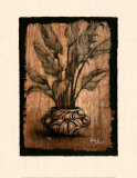 Monica Stewart - Exotic Flora IV Obrazy Monica Stewart - Exotic Flora IV Obrazy