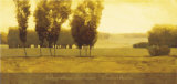 Timeless Meadow Poster by Andrzej Skorut