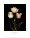 Prelude I Posters by S. G. Rose