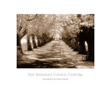 Near Midsummer Common, Cambridge Print by Derek Langley
