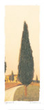Ciprés II Láminas por Amy Melious Ciprés II Láminas por Amy Melious