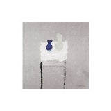 Two Vases on a High Table Prints by McArthur 