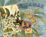 Bahamas Poster van Pamela Gladding