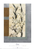 Gladioli II Prints by Nakisa 