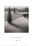 In the Mood II Poster by Craig Alan