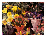 Flowers, Florence Pósters por Zeny Cieslikowski Flowers, Florence Pósters por Zeny Cieslikowski