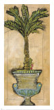 Potted Palm IV Prints by Martin Quen