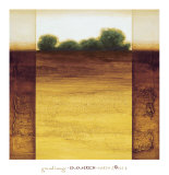 Earth Zone IV Affiches par Lazlo Emmerich