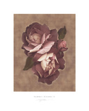 Rêves d'été II Art par S. G. Rose