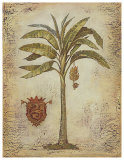 Ivo's Palm I Prints by Ivo 