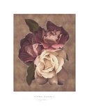 Summer Dreams I Posters by S. G. Rose