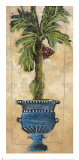 Potted Palm III Posters by Martin Quen