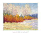 Last of the Snow Posters by B. Oliver