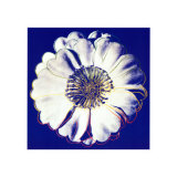 Flower for Tacoma Dome, c.1982 (Blue and White) Plakaty autor Andy Warhol Flower for Tacoma Dome, c.1982 (Blue and White) Plakaty autor Andy Warhol