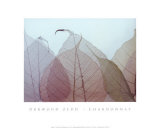Chardonnay Affiche par Durwood Zedd