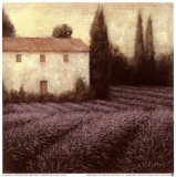 Detalle de campo de lavanda Pósters por James Wiens
