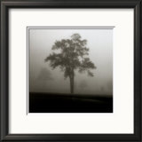 Fog Tree Study I Print by Jamie Cook