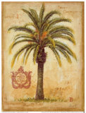 Island Palm detail Prints by Chad Barrett