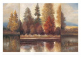 Morning Prints by Diann Haist
