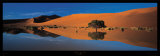 Namib Desert Kunst af Philippe Bourseiller Namib Desert Kunst af Philippe Bourseiller