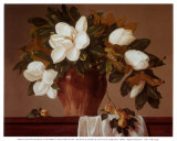 Magnolia con albaricoques Pósters por Joe Anna Arnett Magnolia con albaricoques Pósters por Joe Anna Arnett