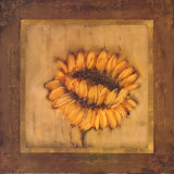 Contemporary Sunflower Plakater av Rebecca Burton Contemporary Sunflower Plakater av Rebecca Burton